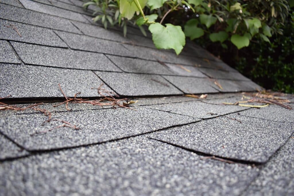 1599px shingle roof 2 2017 04 21